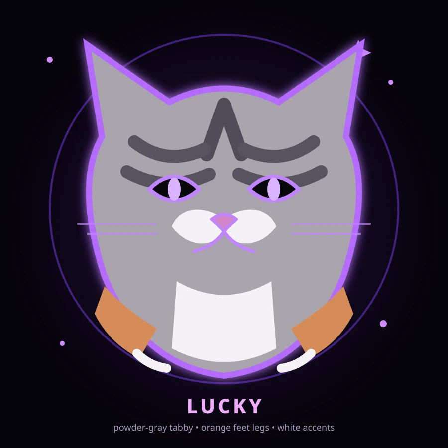 Stylized powder-gray tabby cat portrait representing Lucky, with orange feet and legs and white accents