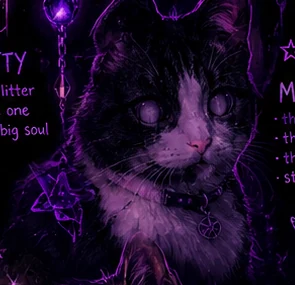 Stylized black and white cat portrait representing Mr