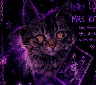 Stylized tabby cat portrait representing Mrs Kitty